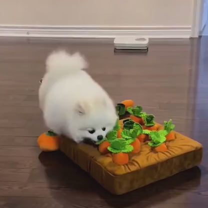 Interaktives Karotten-Spielzeug für Hunde