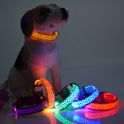 LED Hundehalsband Leo - Tier König
