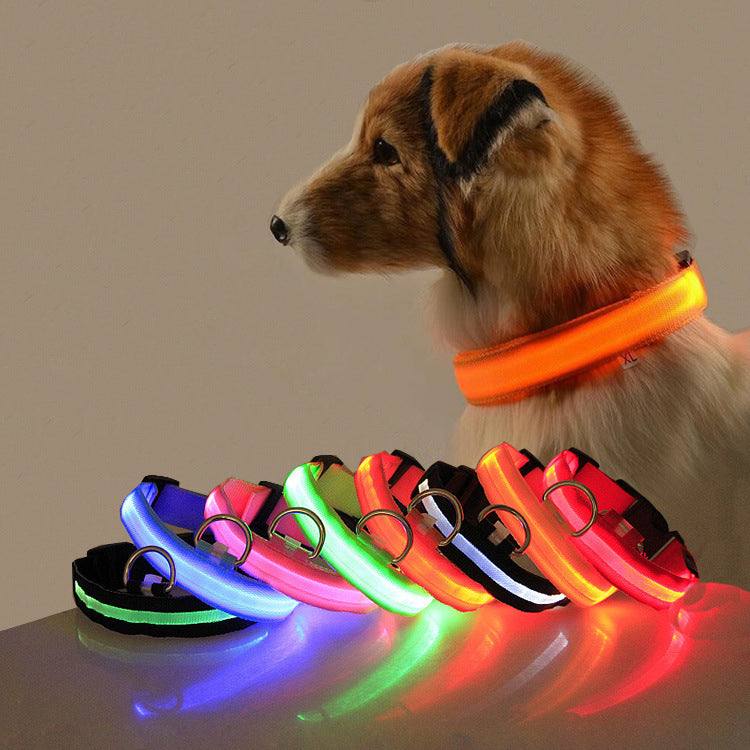 Safety Dog LED Collar - Tier König