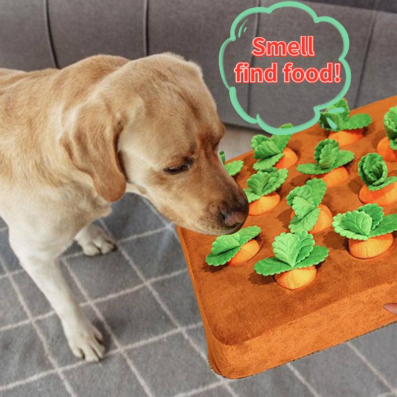 Interaktives Karotten-Spielzeug für Hunde - Tier König